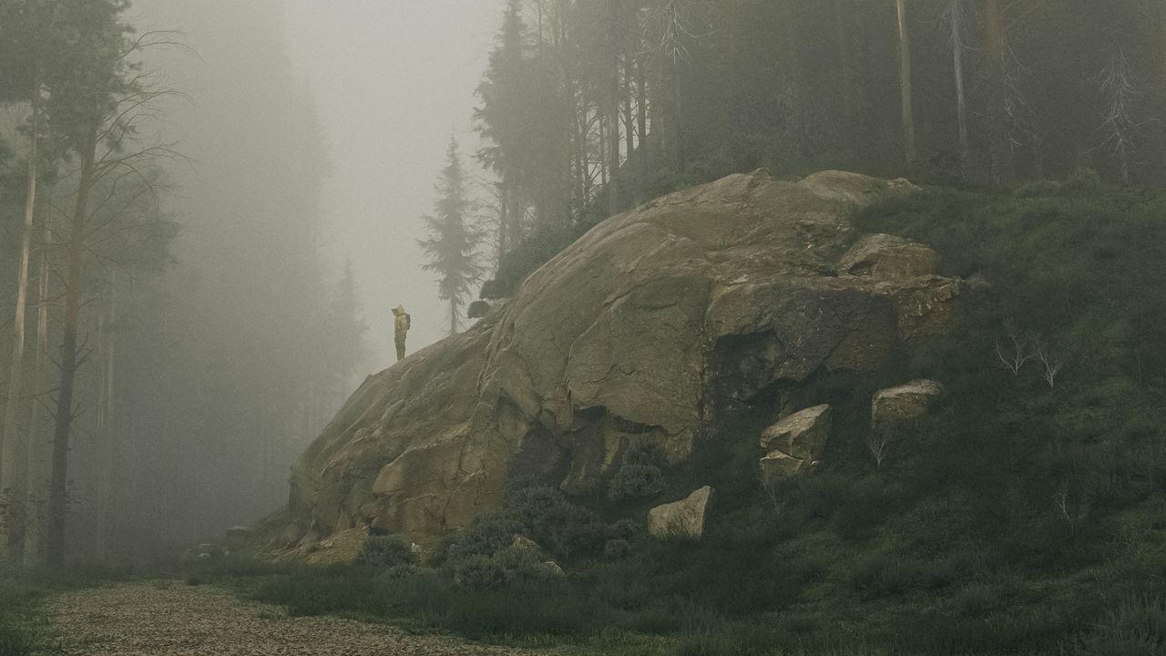 Обои силуэт, гора, склон, деревья, туман, арт