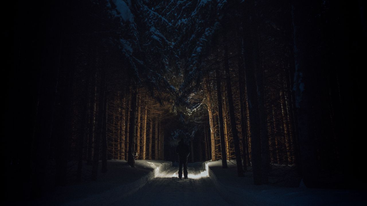 Обои силуэт, лес, дорога, снег, деревья