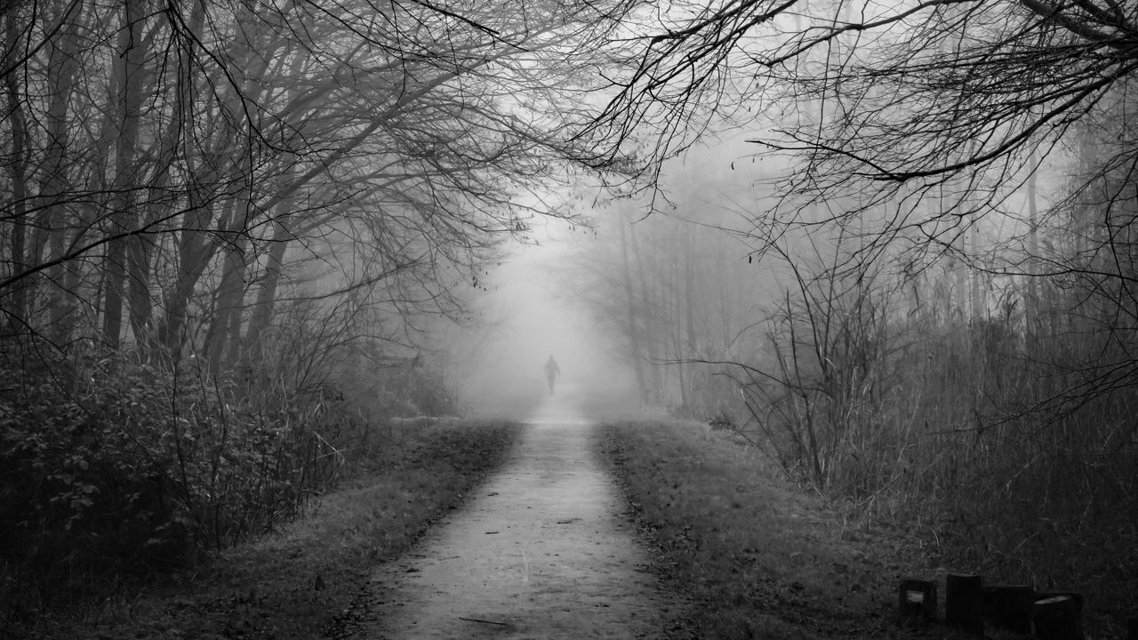 Путь в тумане