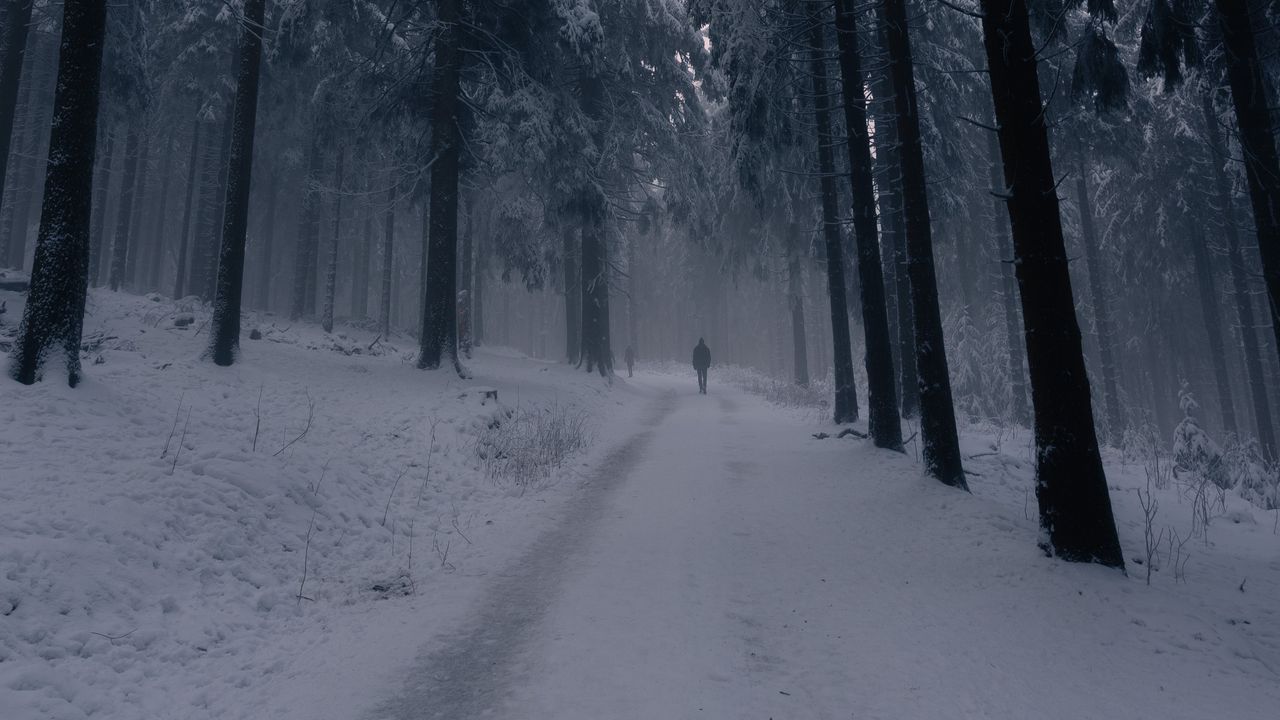 Обои силуэт, одиночество, лес, туман, снег