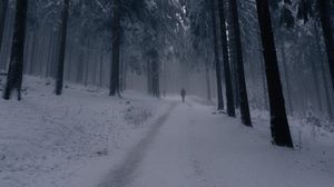 Превью обои силуэт, одиночество, лес, туман, снег