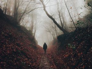 Превью обои силуэт, туман, лес, одиночество, уединение, прогулка