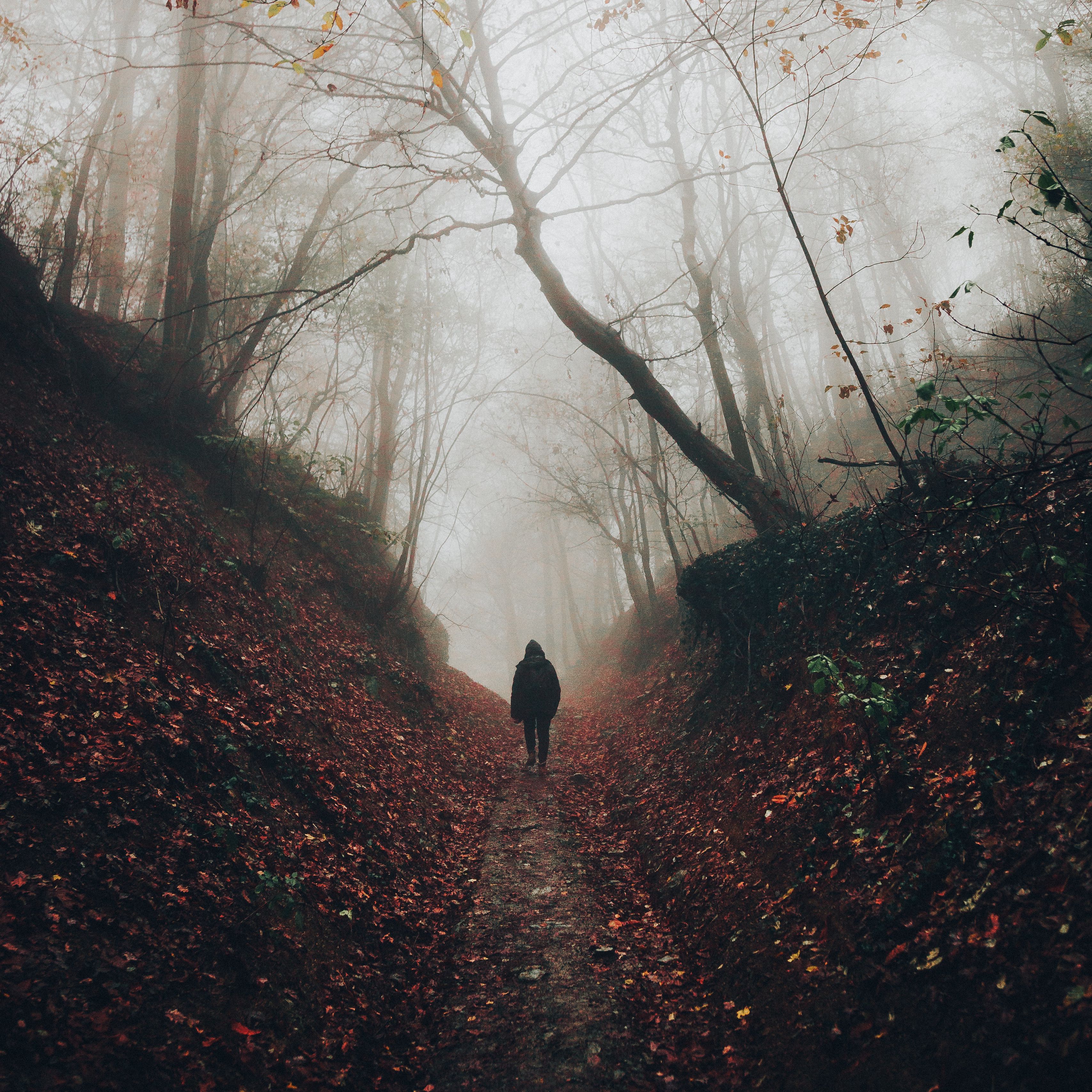 В лесу со спины осень туман