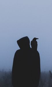 Превью обои силуэт, ворон, капюшон, одиночество, туман