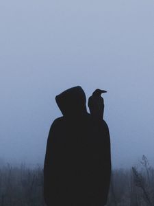 Превью обои силуэт, ворон, капюшон, одиночество, туман
