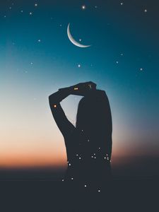Превью обои силуэт, звездное небо, звезды, луна, ночь