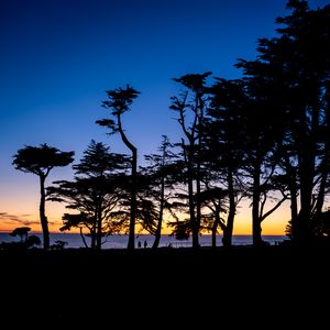 Превью обои силуэты, деревья, горизонт, темный