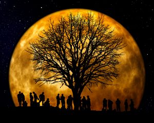 Превью обои силуэты, дерево, люди, луна, ночь