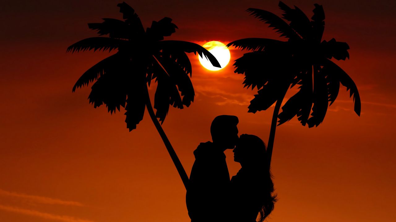 Обои силуэты, пара, объятия, пальмы, ночь, романтика