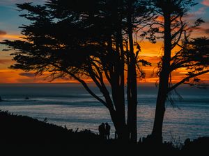 Превью обои силуэты, закат, дерево, море