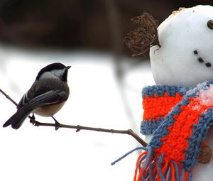 Превью обои синица, птица, снеговик, шарф, снег, зима