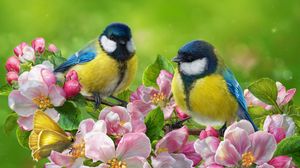 Превью обои синица, птица, цветы, яркий, арт