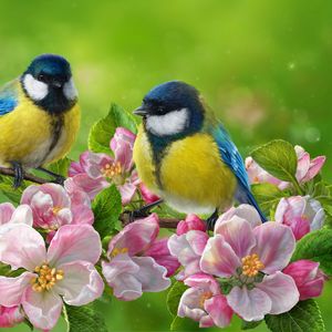 Превью обои синица, птица, цветы, яркий, арт