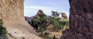 Превью обои скала, арка, дерево, природа, вид