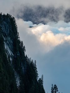 Превью обои скала, деревья, облака, гора, вершина