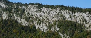 Превью обои скала, деревья, рельеф