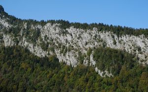 Превью обои скала, деревья, рельеф