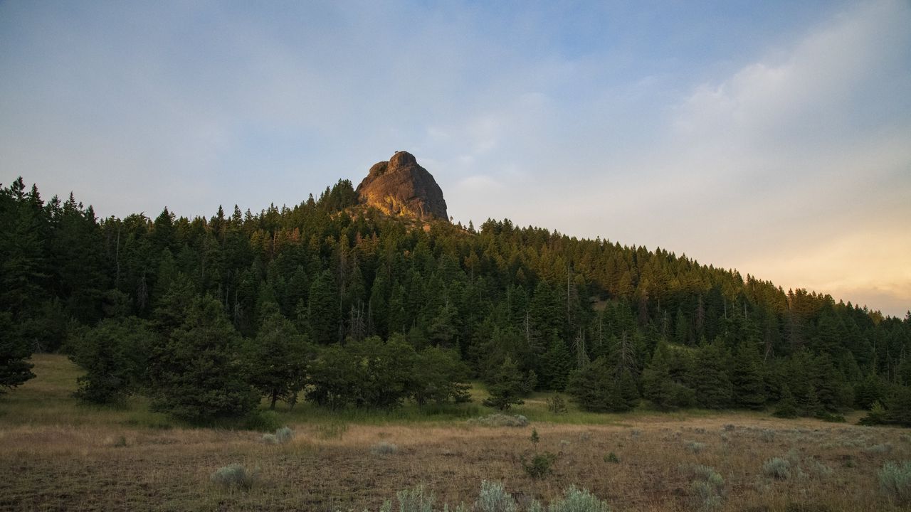 Обои скала, ель, деревья, трава, небо