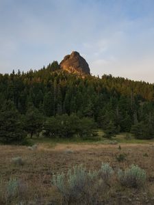 Превью обои скала, ель, деревья, трава, небо