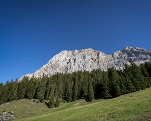 Превью обои скала, гора, деревья, склон, пейзаж, природа