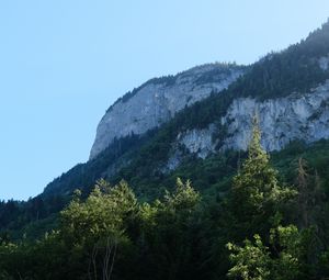 Превью обои скала, горы, австрия, лес, деревья, известняк, природа