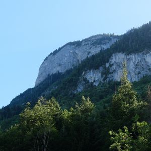 Превью обои скала, горы, австрия, лес, деревья, известняк, природа