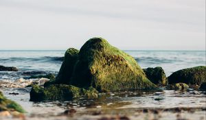 Превью обои скала, камень, мох, море, горизонт