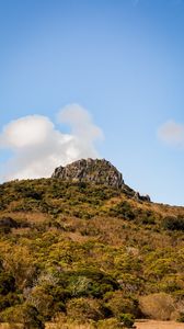 Превью обои скала, каменный, деревья, кусты