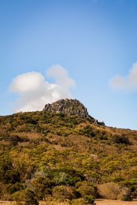 Превью обои скала, каменный, деревья, кусты