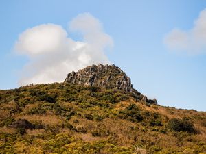 Превью обои скала, каменный, деревья, кусты