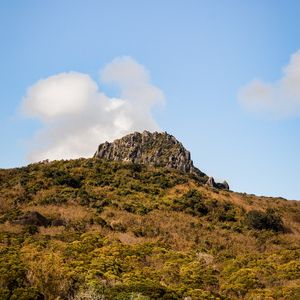 Превью обои скала, каменный, деревья, кусты