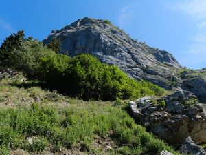Превью обои скала, камни, кусты, природа, небо, вид снизу, пейзаж