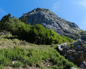 Превью обои скала, камни, кусты, природа, небо, вид снизу, пейзаж