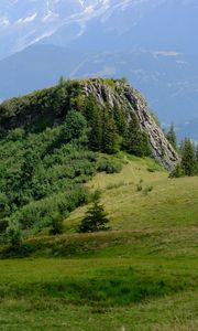 Превью обои скала, кусты, деревья, трава, горы, туман