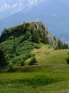 Превью обои скала, кусты, деревья, трава, горы, туман