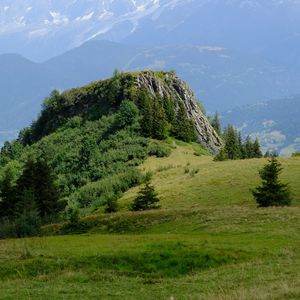 Превью обои скала, кусты, деревья, трава, горы, туман