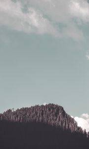 Превью обои скала, лес, деревья, тень, луна, пейзаж