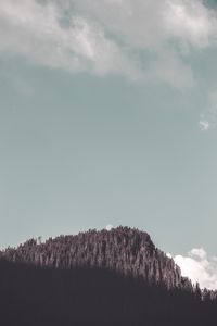 Превью обои скала, лес, деревья, тень, луна, пейзаж