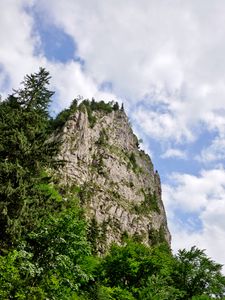 Превью обои скала, лес, деревья