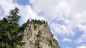 Превью обои скала, лес, деревья