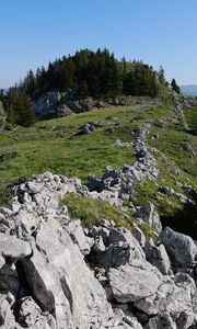 Превью обои скала, лес, луг, природа, горы, небо
