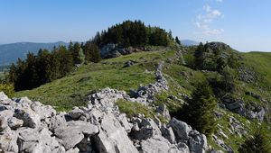 Превью обои скала, лес, луг, природа, горы, небо