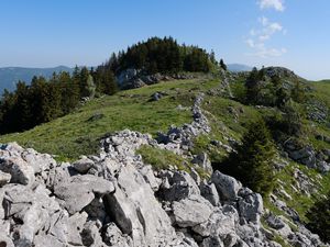 Превью обои скала, лес, луг, природа, горы, небо
