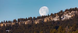 Превью обои скала, лес, луна, полнолуние, пейзаж, природа