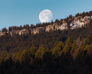 Превью обои скала, лес, луна, полнолуние, пейзаж, природа