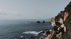 Превью обои скала, море, побережье, кактусы