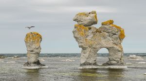 Превью обои скала, море, птица, полет, природа