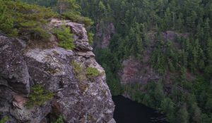 Превью обои скала, обрыв, лес, река, природа, зеленый