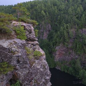 Превью обои скала, обрыв, лес, река, природа, зеленый
