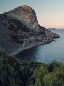 Превью обои скала, побережье, море, растение